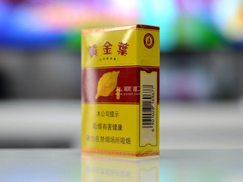 黄金叶(金满堂)相册 297_27932