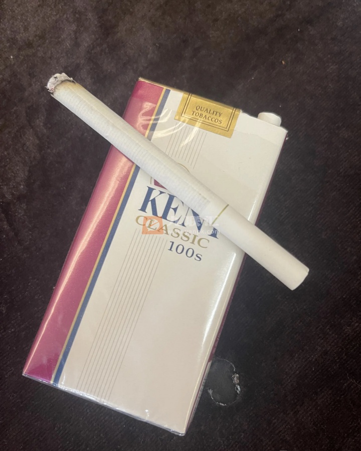 KENT(城堡100s 加州含税版)相册 93162_71575