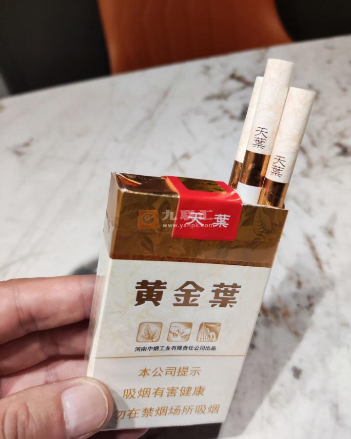 黄金叶(软天叶)相册 106395_34691