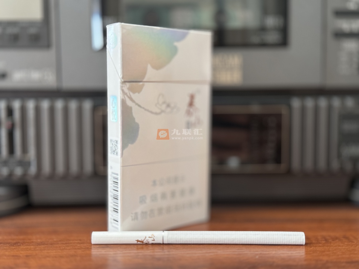 泰山(心悦)相册 1699_82144