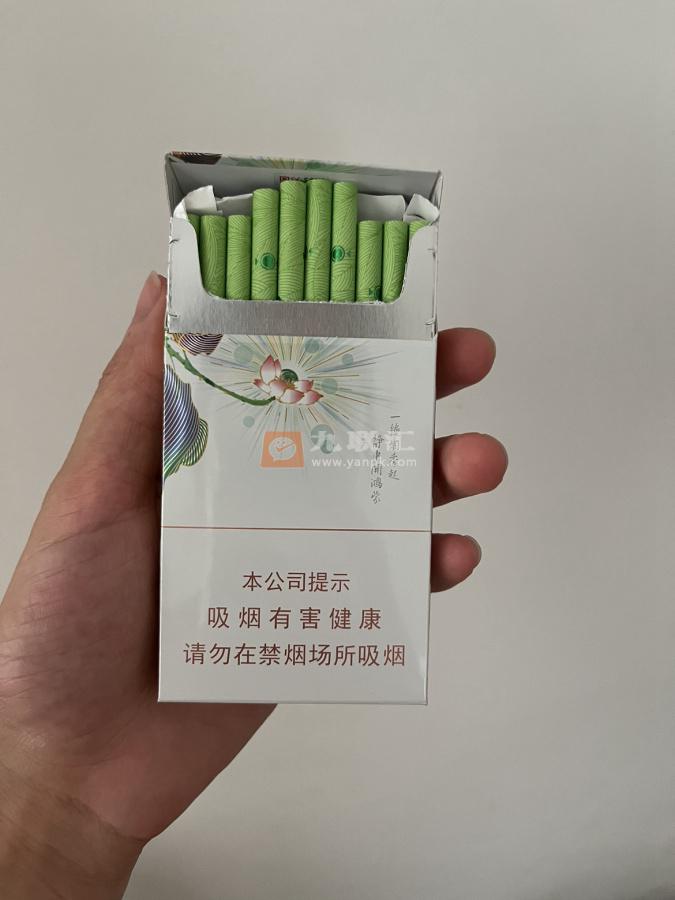 泰山(茉莉香韵)相册 93954_71734