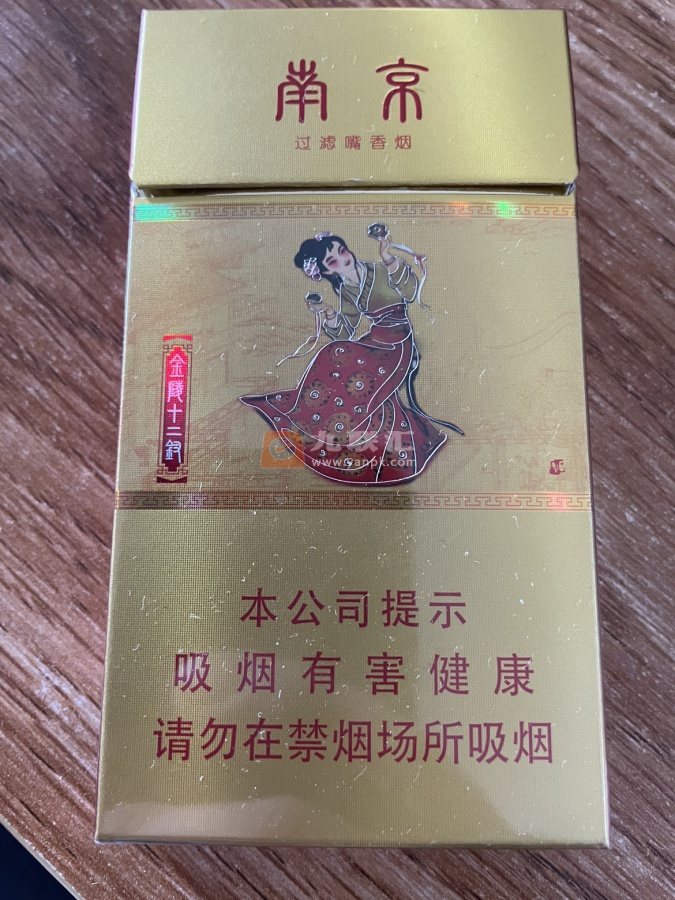 南京(金陵十二钗烤烟)相册 1107_68024