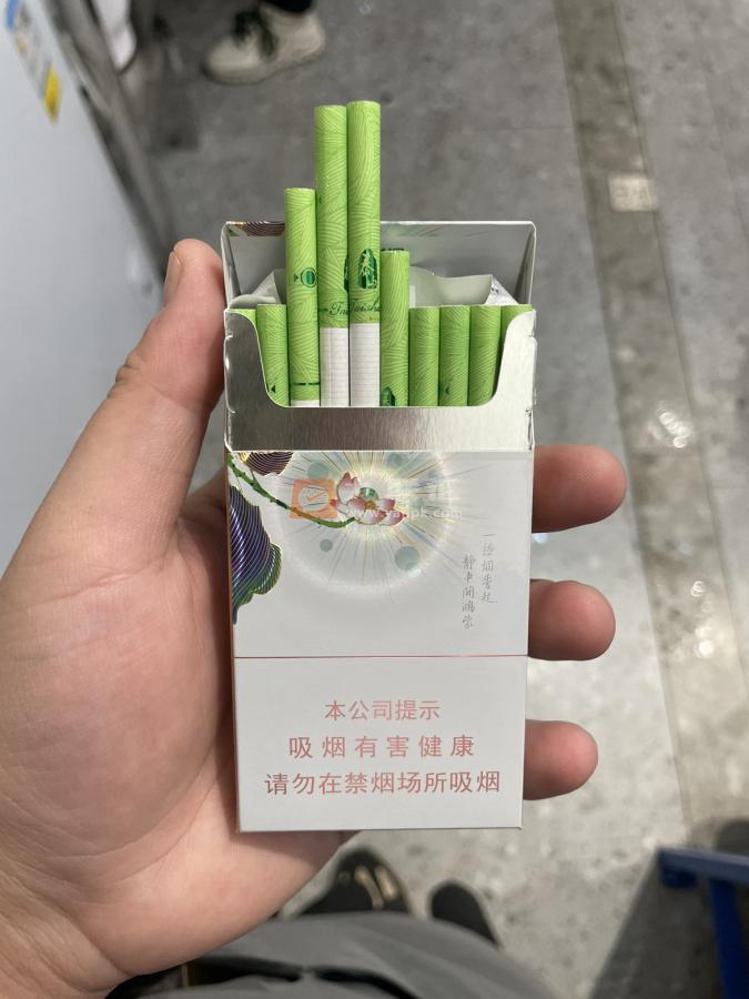 泰山(茉莉香韵)相册 93954_16122