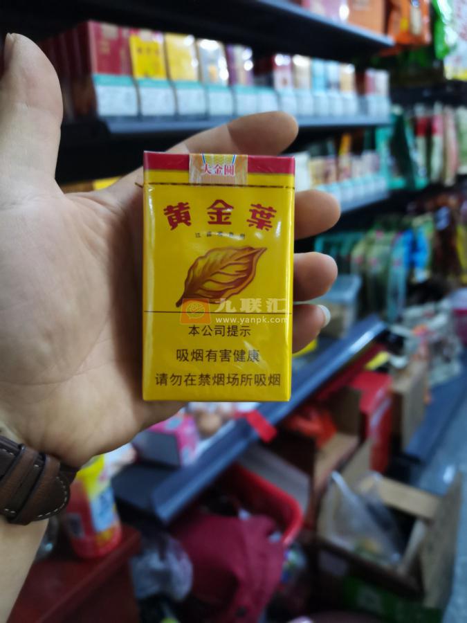 黄金叶(软大金圆)相册 291_17012