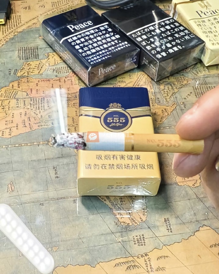 三五(金天越)相册 114817_33409