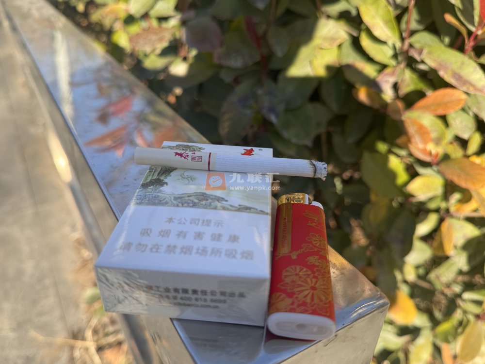 泰山(青秀)相册 1683_68381