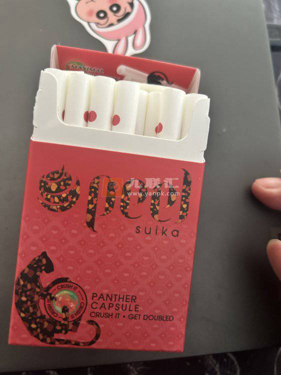 百乐(西瓜)相册 114791_37306