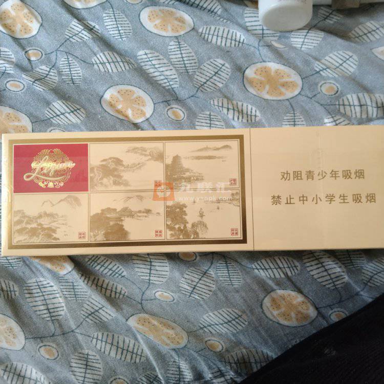 利群(西子阳光)相册 3171_95149