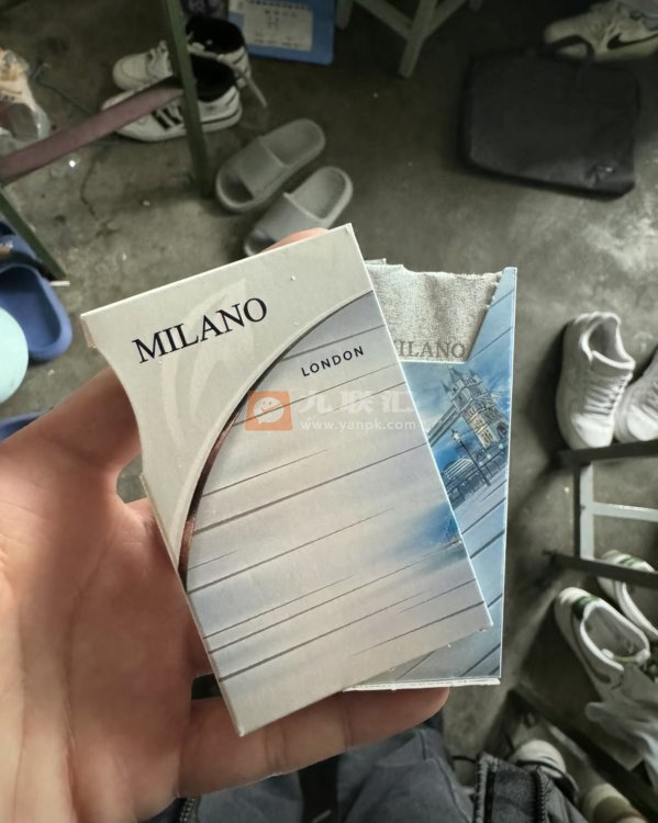 米兰(白侧推)相册 110432_37803