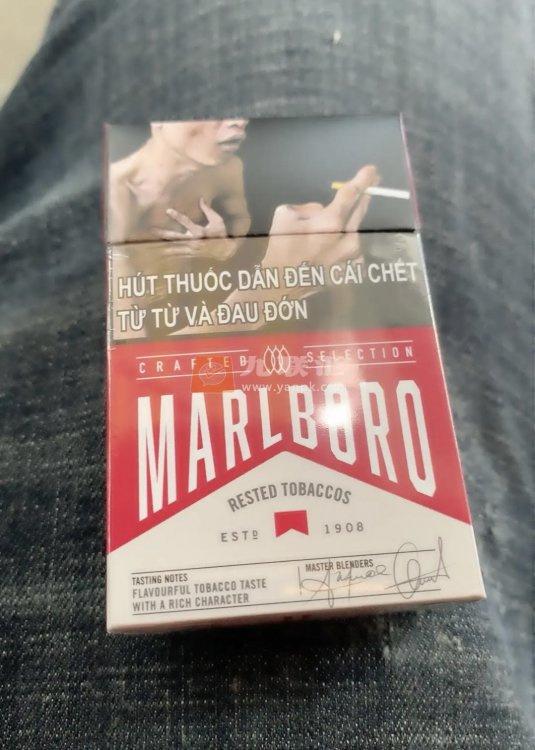 万宝路(硬红越南签名版)相册 95705_90831