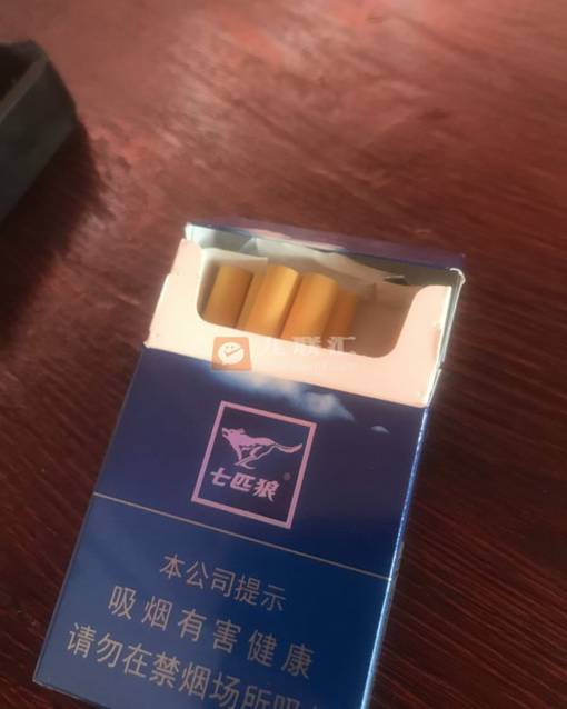 七匹狼(蓝)相册 1622_55395