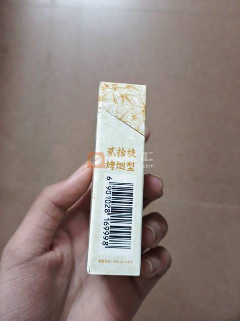 黄金叶(天叶)相册 290_54725