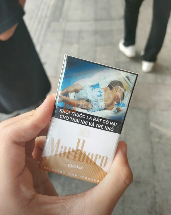 万宝路(硬白金越南版)相册 95746_23809