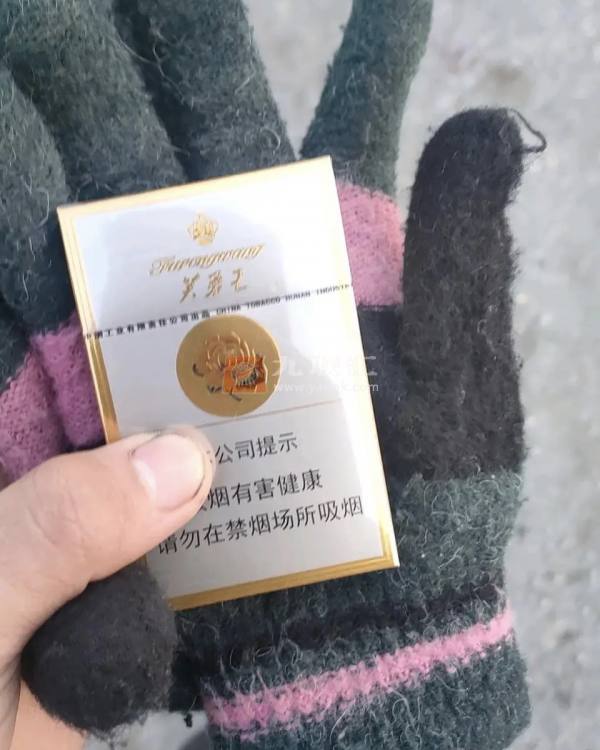 芙蓉王(硬)相册 139_83388