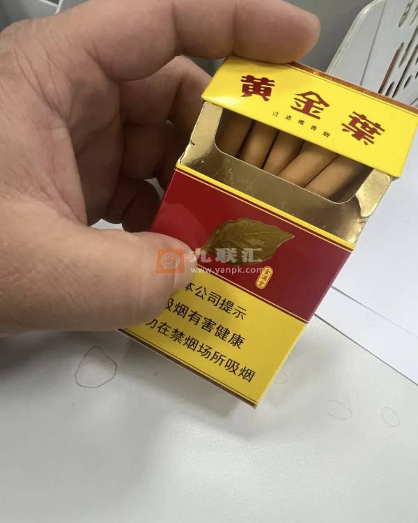 黄金叶(金满堂)相册 297_67024