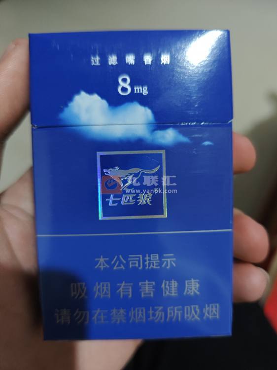 七匹狼(蓝)相册 1622_38476