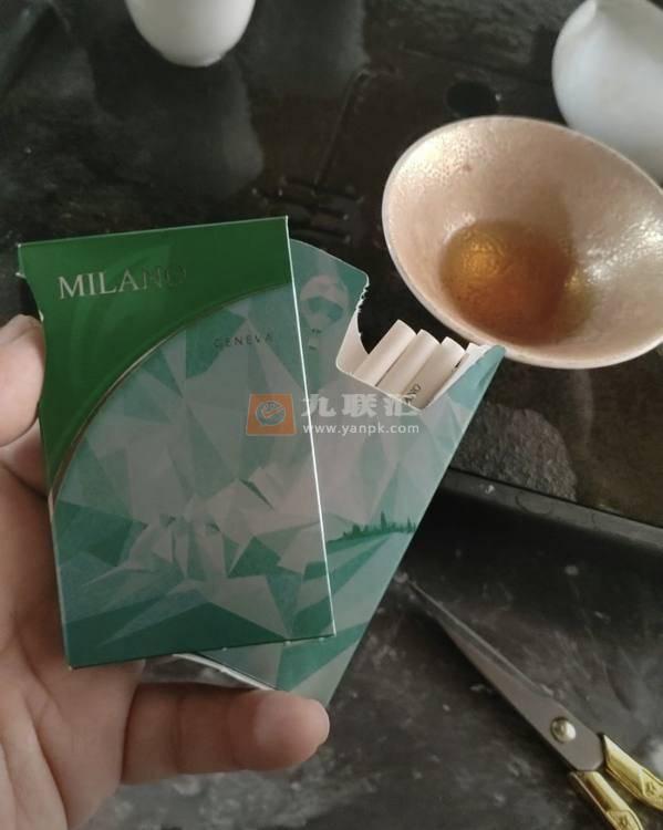 米兰(绿侧推)相册 110433_92716