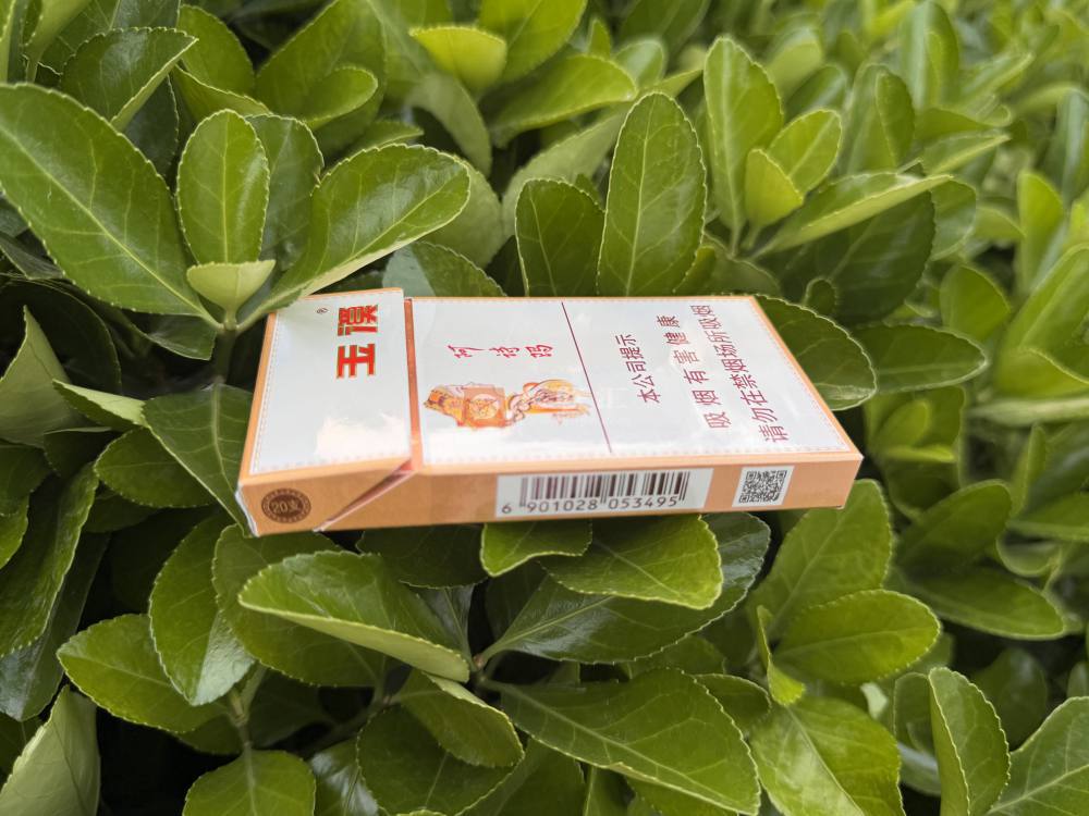 玉溪(细支阿诗玛)相册 93621_85498