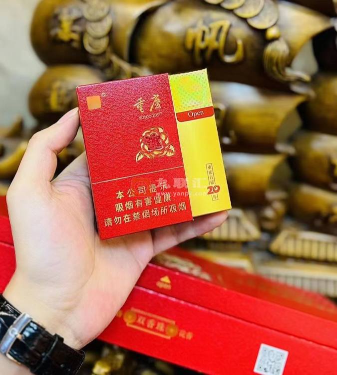 天子重庆相册 92617_59584