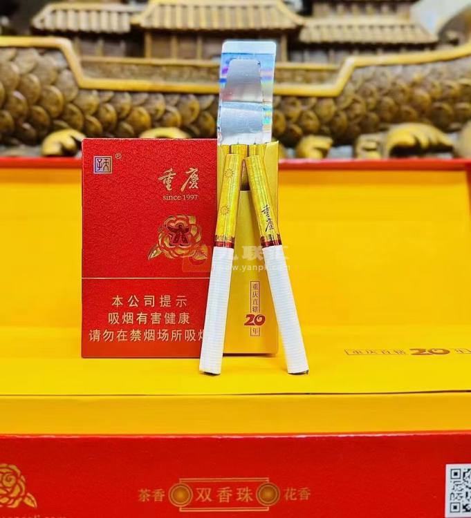 天子重庆相册 92617_40942