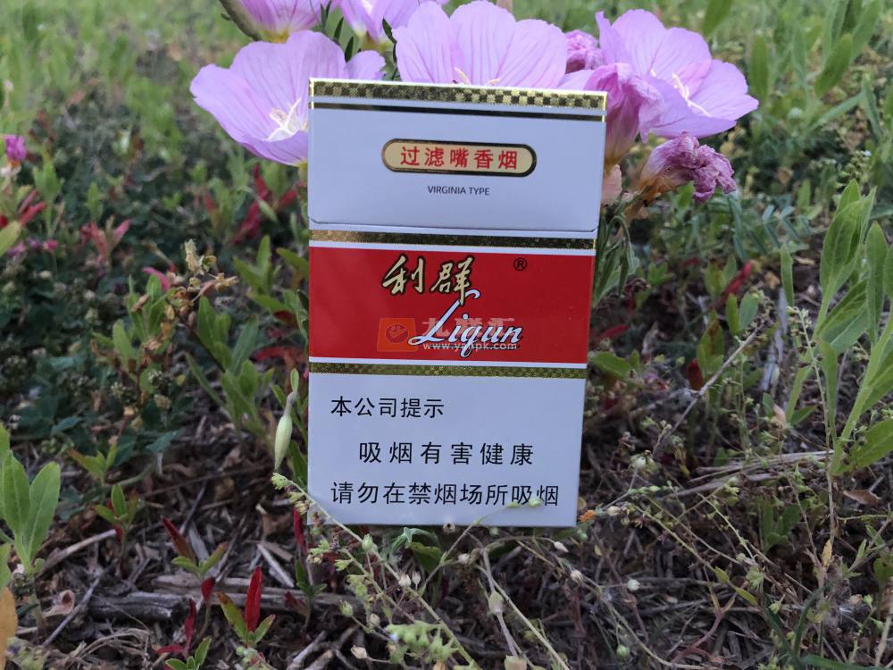 利群(新版)相册 661_59092