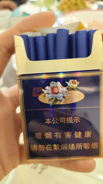 雪莲(蓝精品)相册 1229_17846