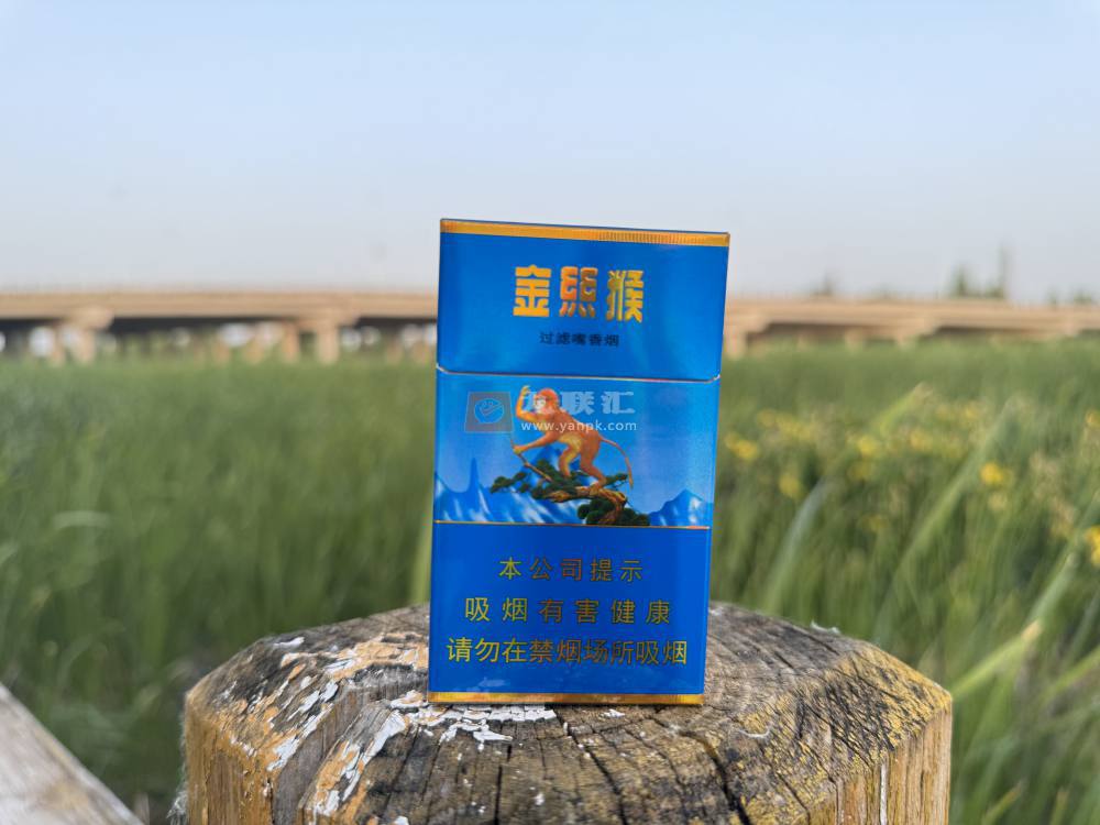 好猫(金丝猴)相册 93726_10417