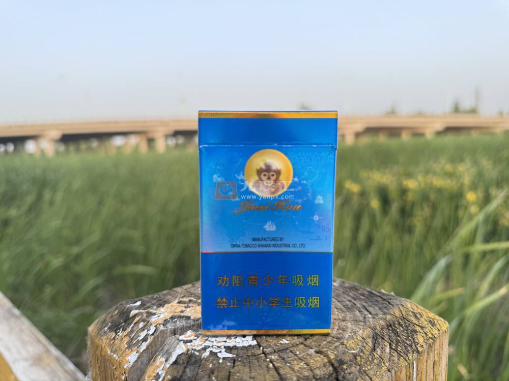 好猫(金丝猴)相册 93726_84072