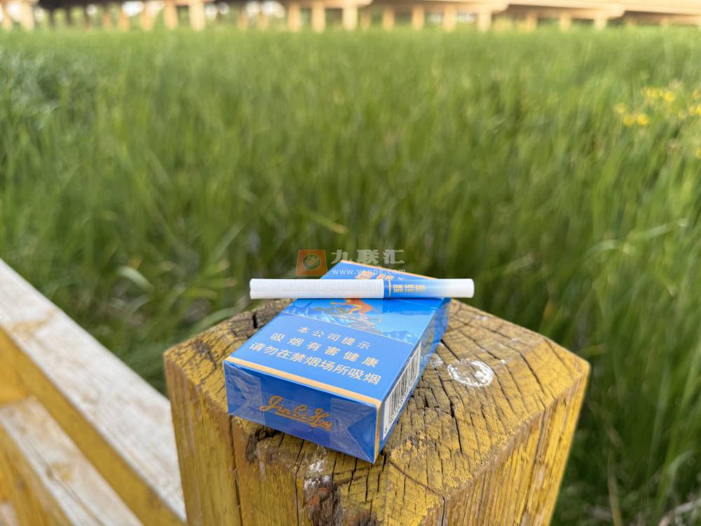 好猫(金丝猴)相册 93726_72061