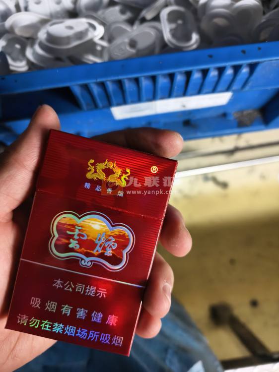 云烟(紫)相册 1237_93721