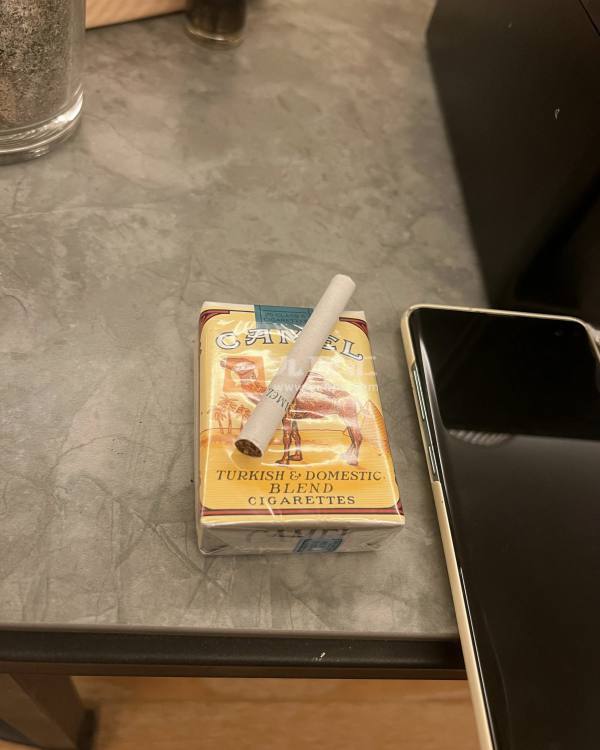 骆驼(美国免税无嘴)相册 2234_29443