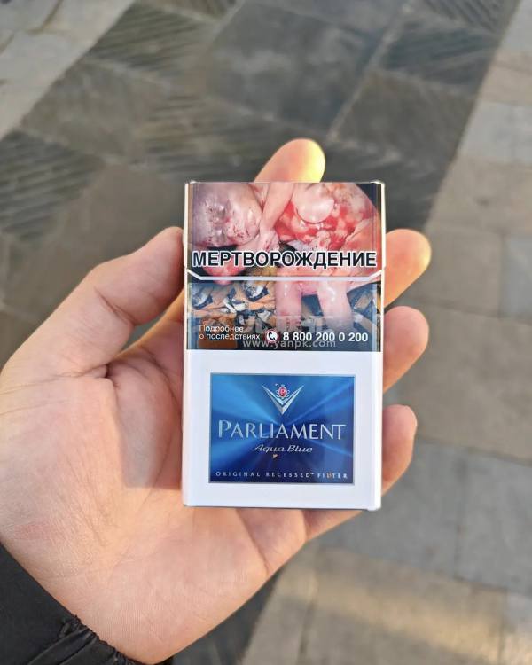 百乐门(水蓝俄文版)相册 94363_26567