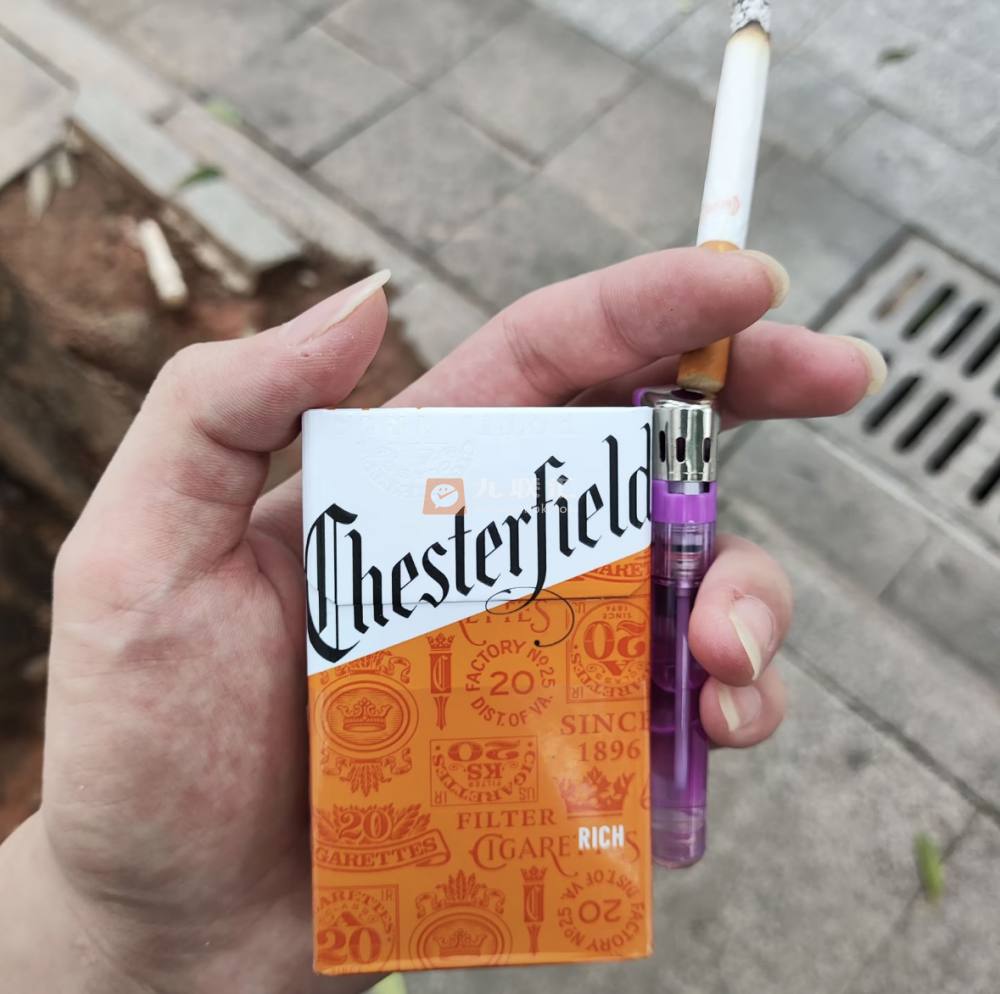 契斯特菲尔德(硬橙摩洛哥版)相册 106630_62033