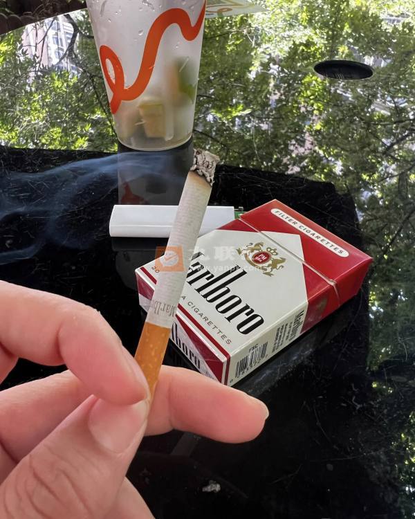 万宝路(美产免税短硬红)相册 93301_90980