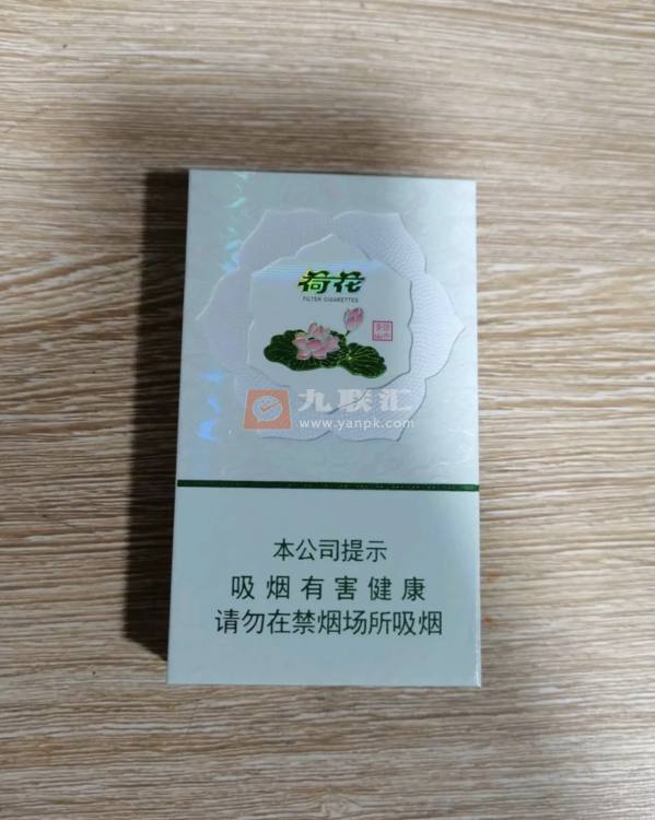 荷花绿水青山相册 93771_28750