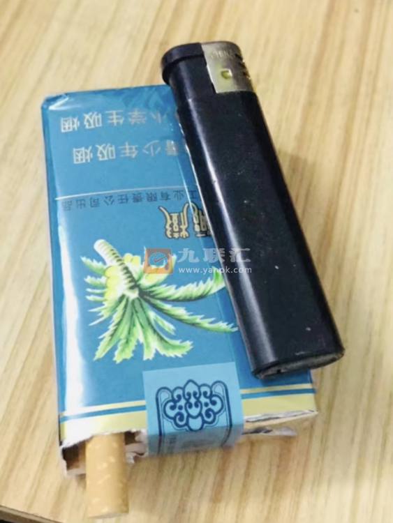 椰树软相册 1072_24364