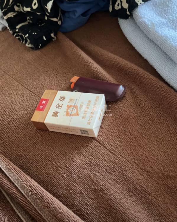 黄金叶(软天叶)相册 106395_20675