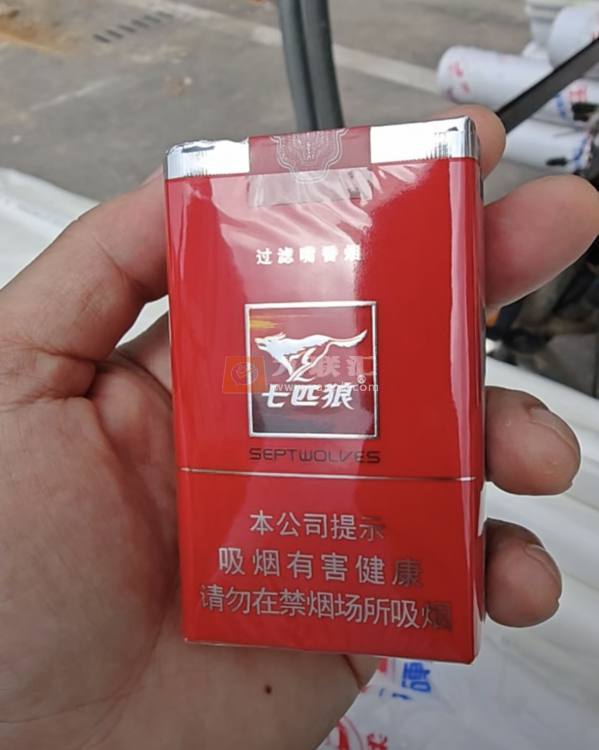 七匹狼(软红1995)相册 1621_95451