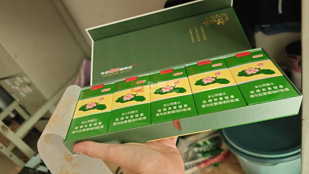 钻石(荷花)相册 3033_89348