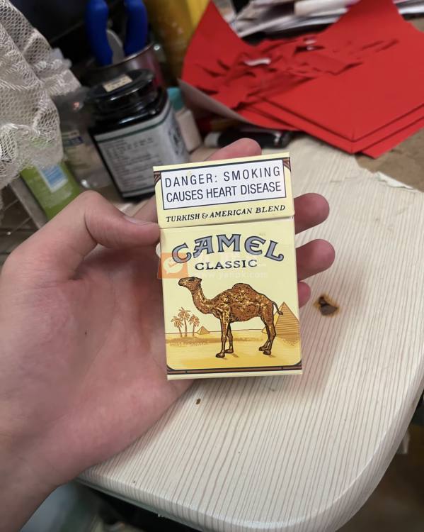 骆驼(硬黄南非版)相册 114208_36586