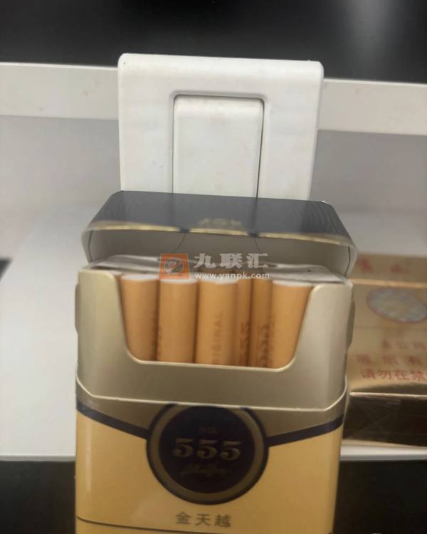 三五(金天越)相册 114817_94284