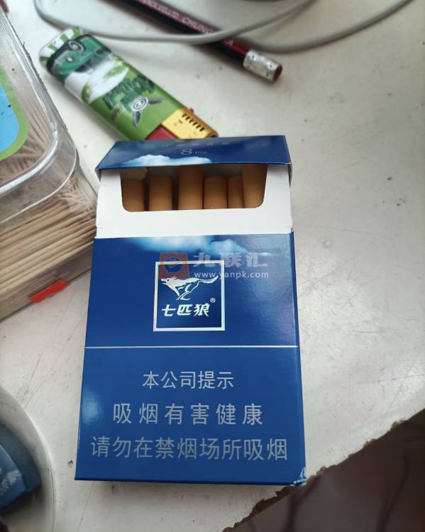 七匹狼(蓝)相册 1622_31294