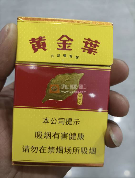 黄金叶(金满堂)相册 297_41887