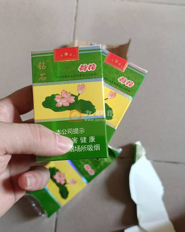 钻石(荷花)相册 3033_93740