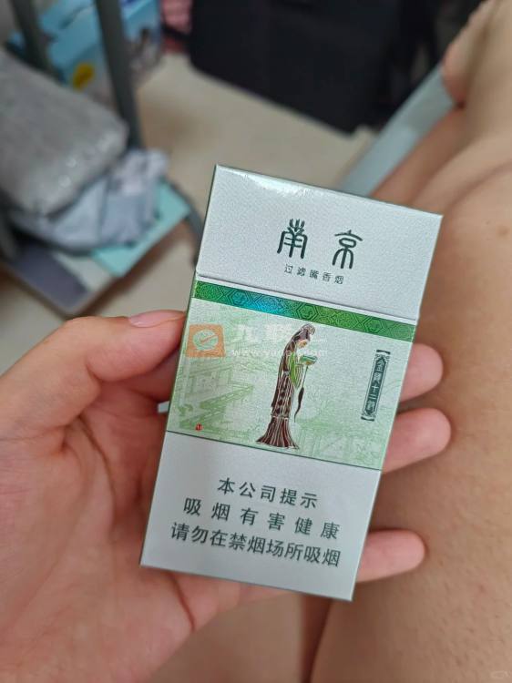 南京(金陵十二钗薄荷)相册 1103_60575