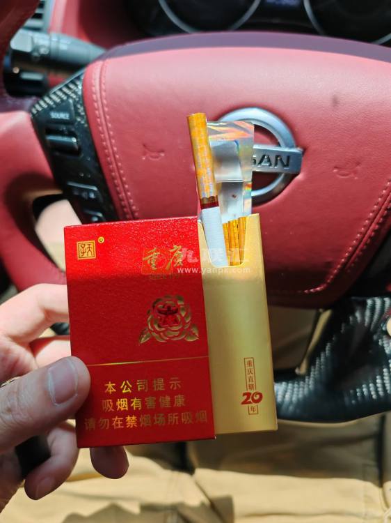 天子重庆相册 92617_18860