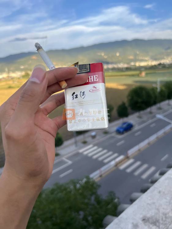 红河(软甲)相册 197_69290