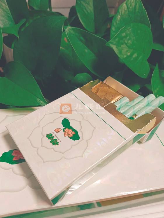 钻石(双中支荷花)相册 93976_48916