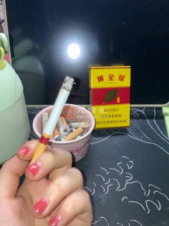 黄金叶(金满堂)相册 297_64747