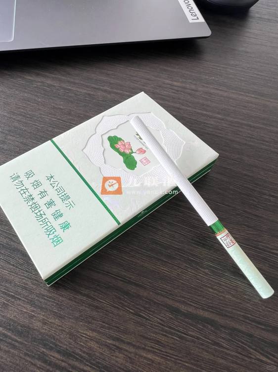 荷花绿水青山相册 93771_50091